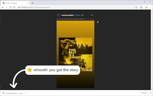 Story Saver: Download Video & Foto Facebook Instagram Gratis - Screenshot 5